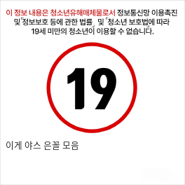 이게 야스 은꼴 모음